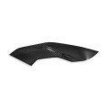 DBK Special Parts (Ducabike) Twill Carbon Fiber Side Panels for BMW S1000R / M1000R (2021+)